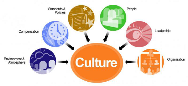 budaya organisasi adalah